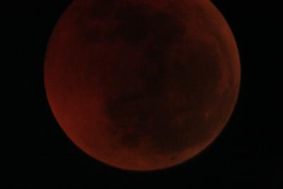 img_8274.jpg